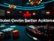 bibubet evrim artlar a klamas 1779463124837