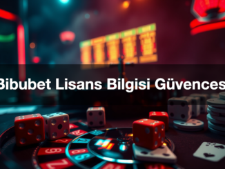 bibubet lisans bilgisi g vencesi 1779463288292